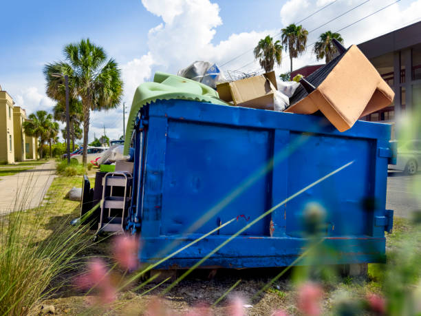 Best Furniture Removal in Franklin Park, FL